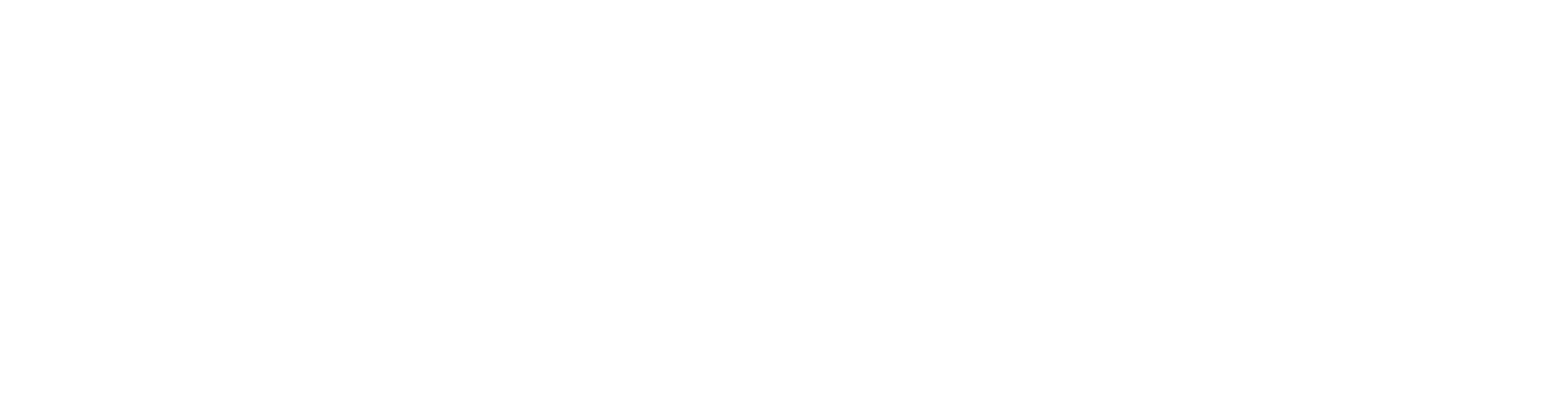 Logo YMCA LAC